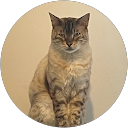 Andy M. profile picture